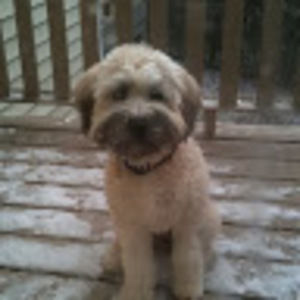 Meet your Posher, Courtney